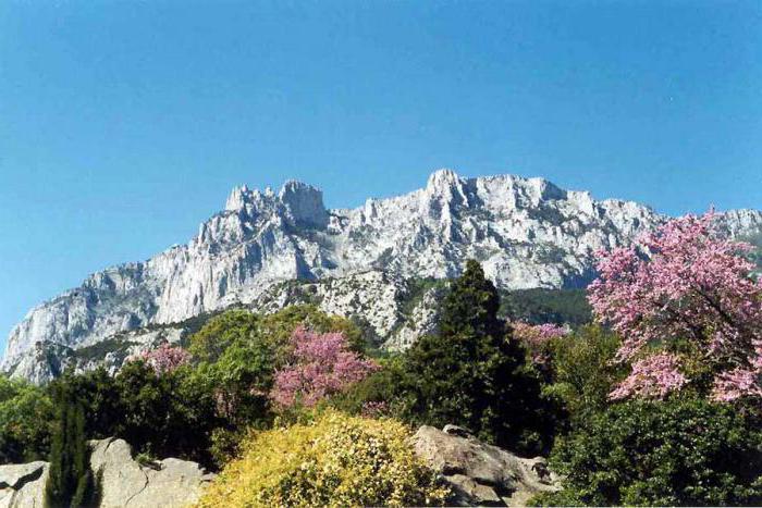 Горнолыжный курорт в Крыму Ай-Петри