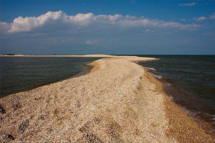 Площадь Азовского моря в кв. км.