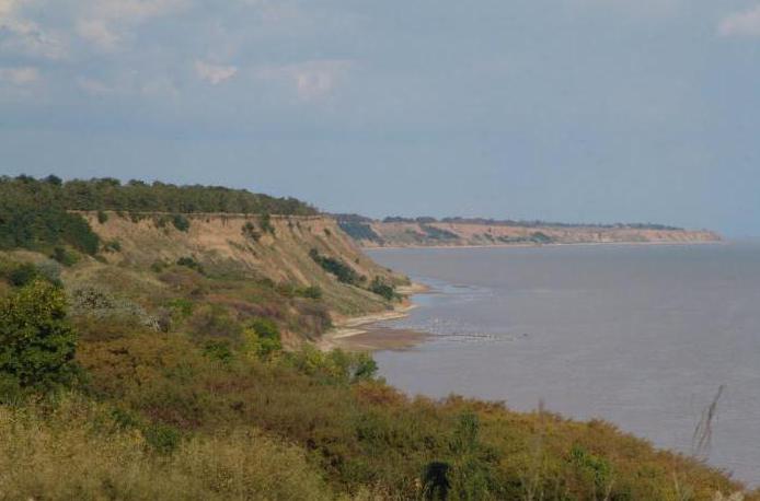 Площадь и глубина Азовского моря