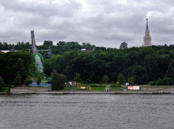 Ленинские горы (Москва)