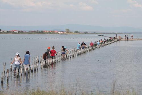 отдых в болгарии поморие