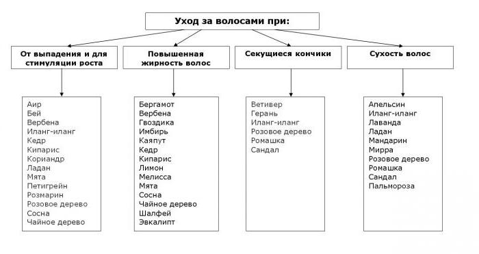 эфирные масла список и свойства таблица