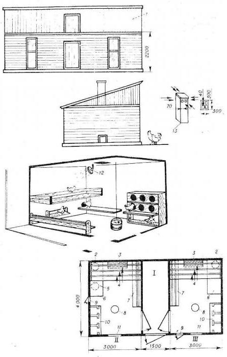 курятник своими руками на 50 кур 