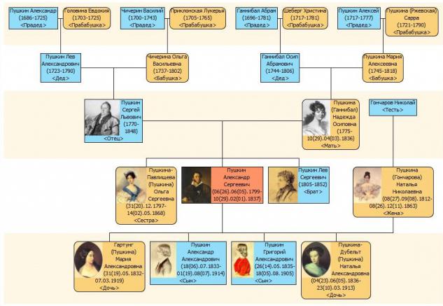 как составить фамильное древо схема