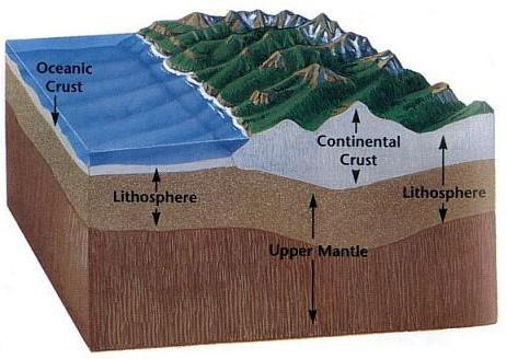из каких крупных элементов состоит земная кора какие подвижные