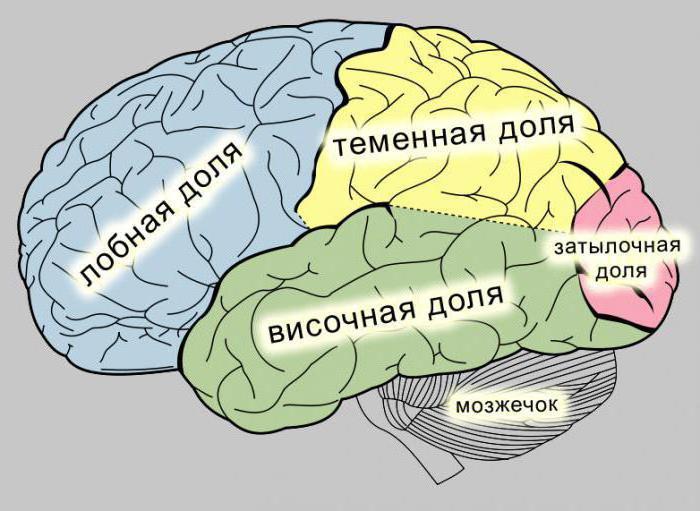 повреждение мозг