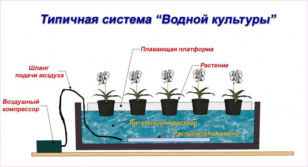 гидропонная установка