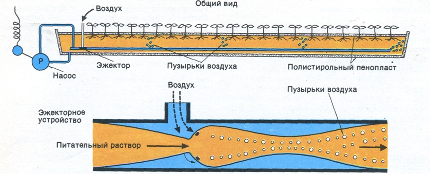 домашняя гидропонная установка