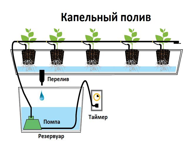 схемы гидропонных установок