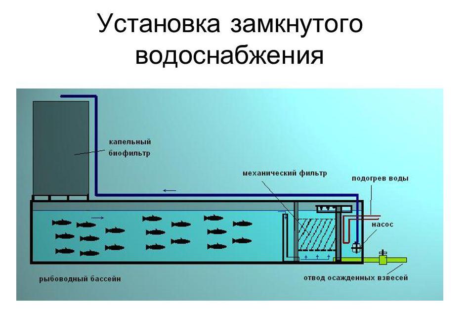 оборудование узв для разведения осетра