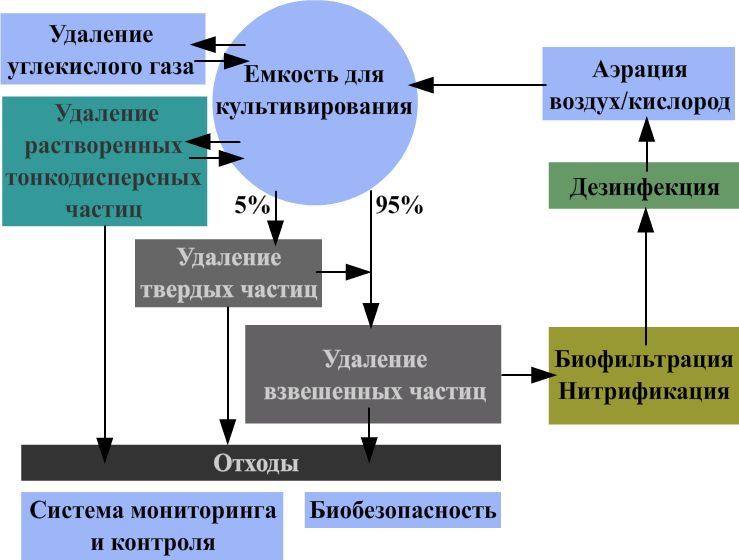 технология разведения осетровых в узв