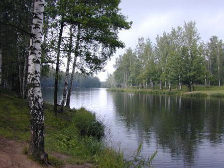 английский парк 