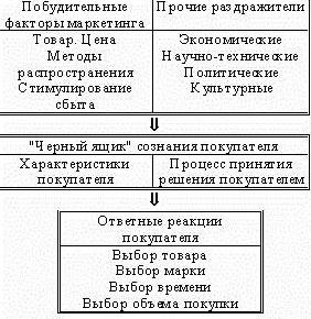 этапы процесса принятия решения о покупке 