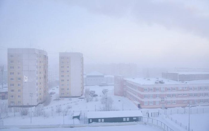 занятия населения нового уренгоя 