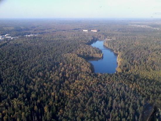 черноголовская вода отзывы