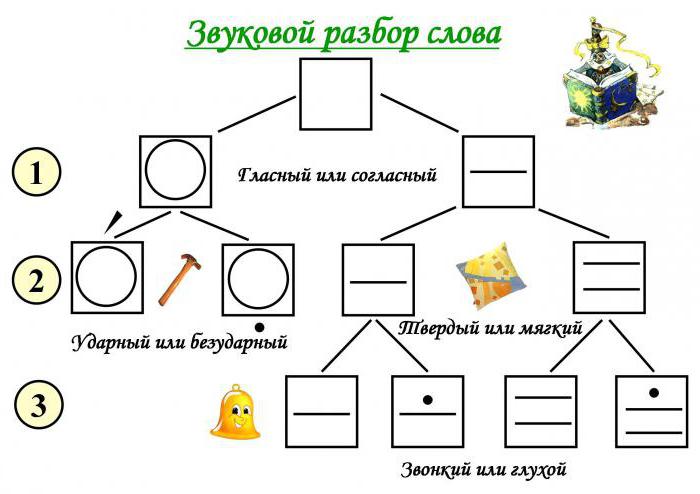 русский язык звуковой анализ