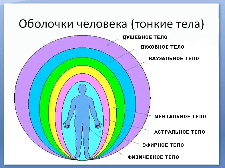 Оболочки человека