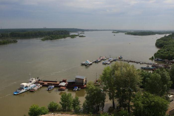 уровень воды в оби