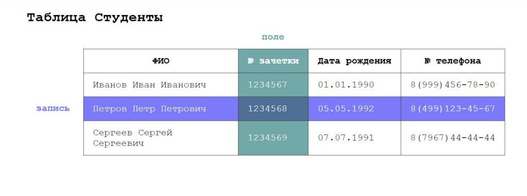 Поля и записи в базе данных