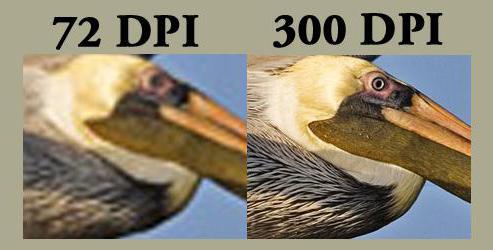 450 dpi