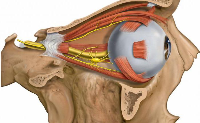 отводящий нерв