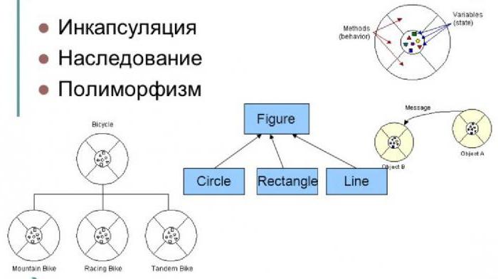 основные принципы объектно ориентированного программирования ооп