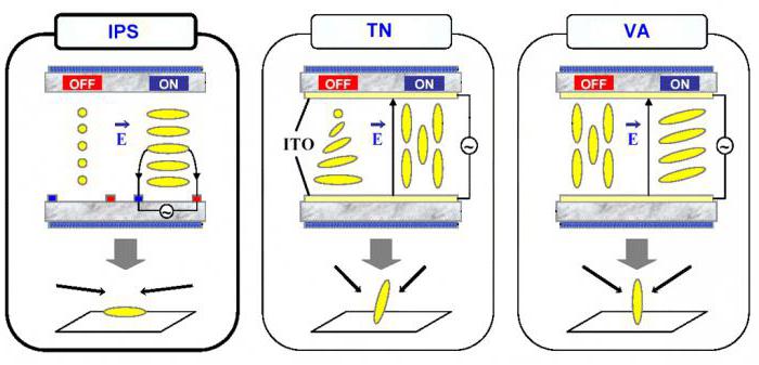 технология жидкокристаллических дисплеев