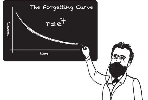 герман эббингауз кривая забывания