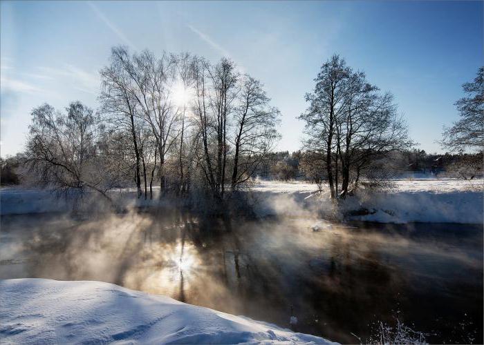 Растения реки Пехорки