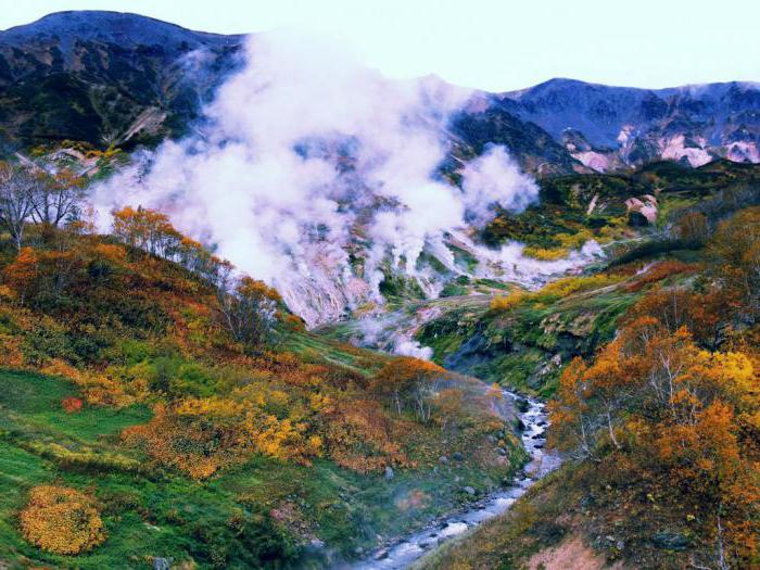 последнее землетрясение на камчатке