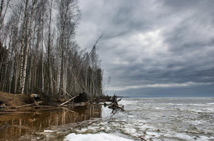 Рыбинское водохранилище отдых