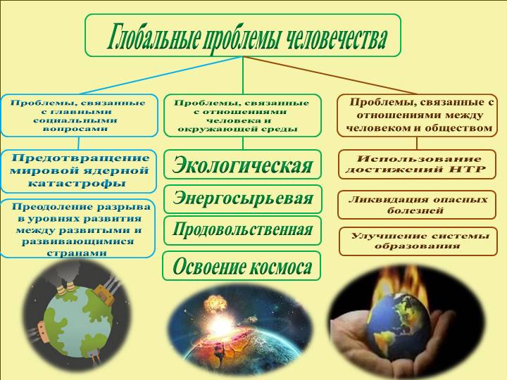 к правилам экологической безопасности