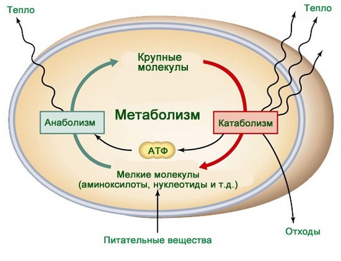 как идет процесс