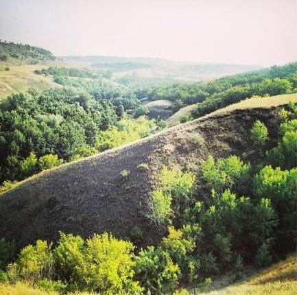 щербаковский природный парк