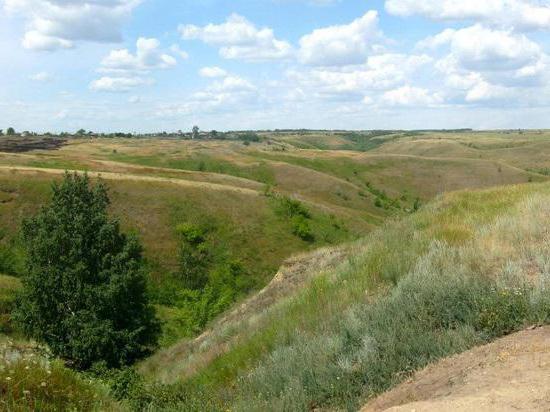 природный парк щербаковский фото