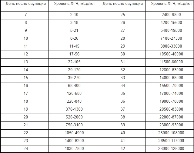 Уровень хгч по дням