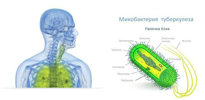 лекарство от туберкулеза