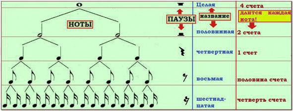 Паузы в музыке. Длительность