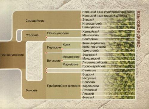 какие народы относятся к уральской языковой семье 