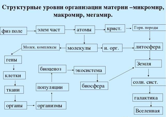  как вы определите понятие макромир