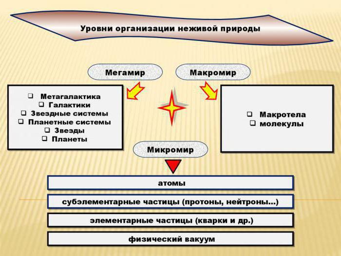 какие объекты характерны для микро и макромира