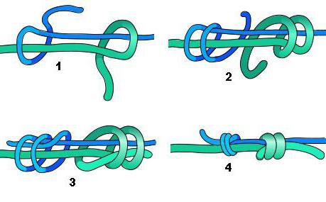 Как вязать узел грейпвайн