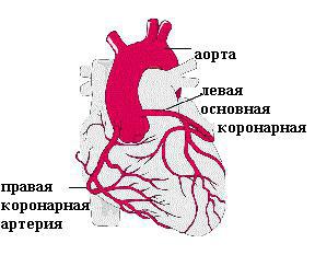 давит в груди