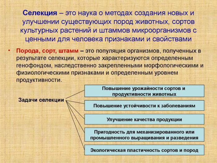 Массовый отбор