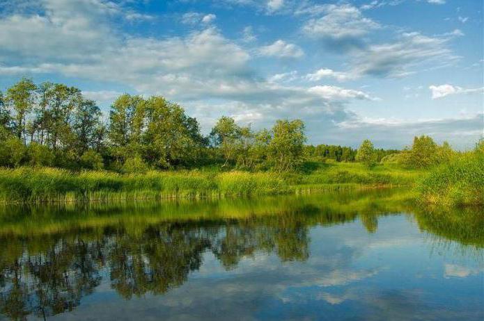 Река Шоша Тверская область