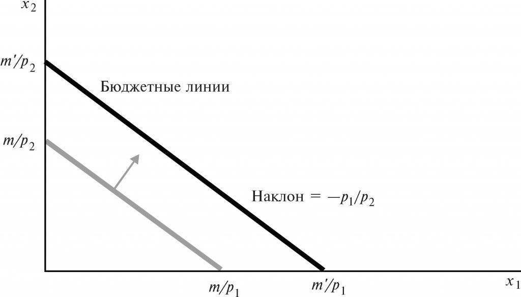 бюджетная линия потребителя