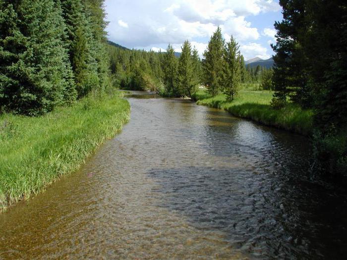 уровни воды в реке