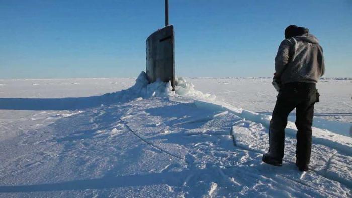 военно морские силы сша