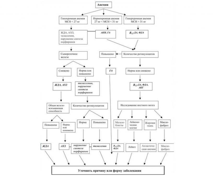 диф диагностика анемий в таблице