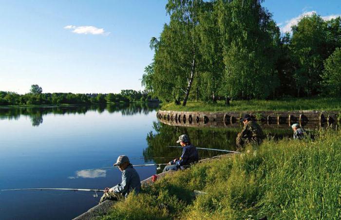 вышневолоцкое водохранилище